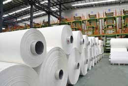 Linha de papel da extrusão da folha da pedra do PE